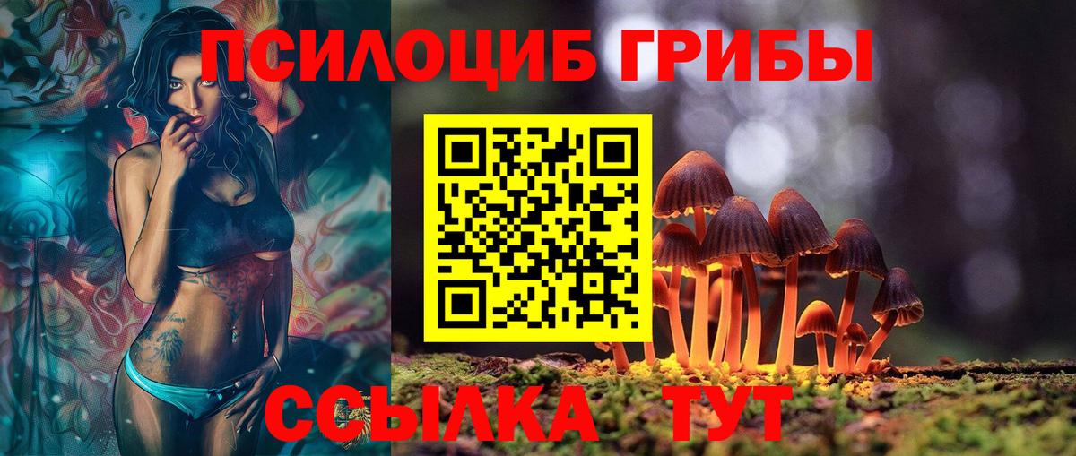 Псилоцибиновые грибы Cubensis Камень-на-Оби