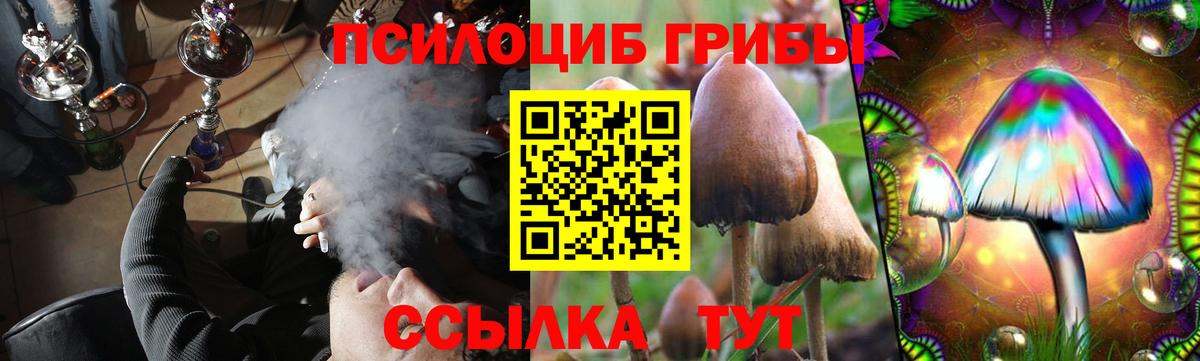 Галлюциногенные грибы Magic Shrooms  Вход с VPN  Камень-на-Оби  Псилоцибиновые грибы Psilocybe 